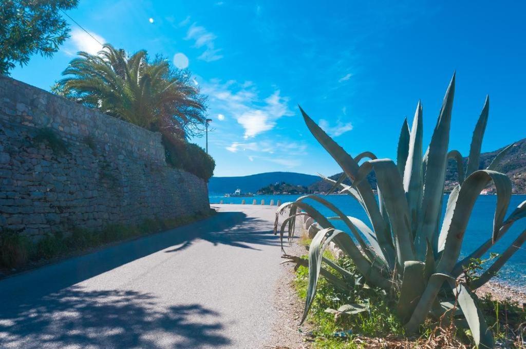 Apartmani Vesna Tivat Dış mekan fotoğraf