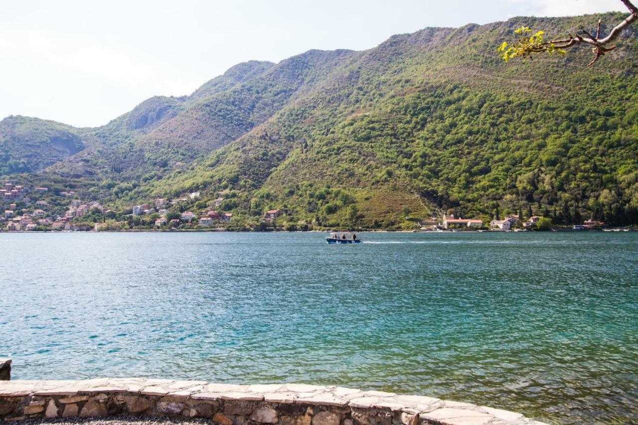 Apartmani Vesna Tivat Dış mekan fotoğraf