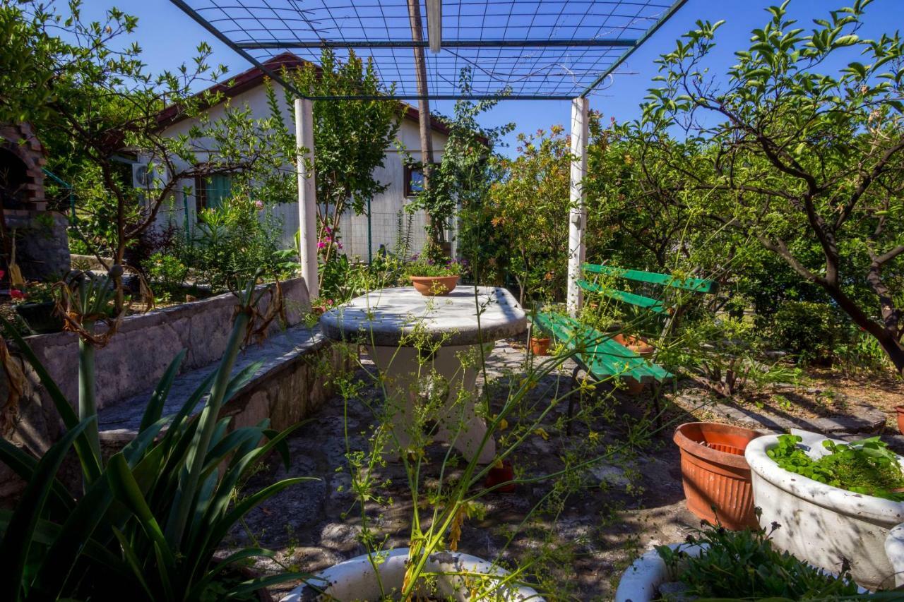 Apartmani Vesna Tivat Dış mekan fotoğraf